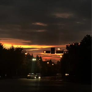 美女脱内衣免费视频
