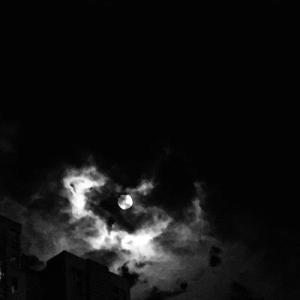 美女脱内衣免费视频
